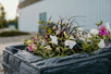 Close up of community plants oustide the Lanigan Recreation Complex.