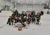 Group photo of girls hockey team.