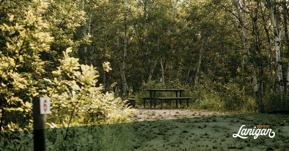 Campsite in a lush green campground with picnic table and power source.