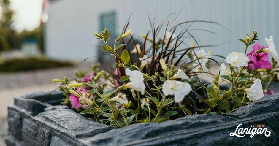 Community flowers outside the Lanigan Recreation Complex.