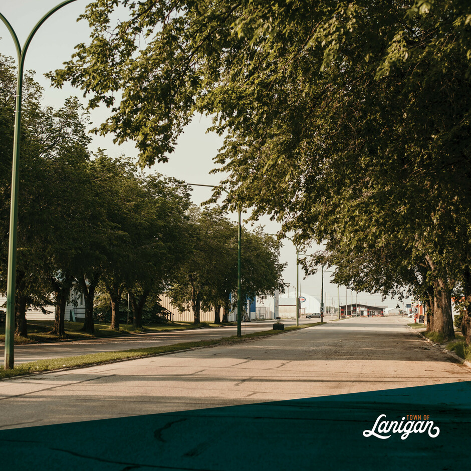 Main street in Lanigan, showcasing businesses and trees.